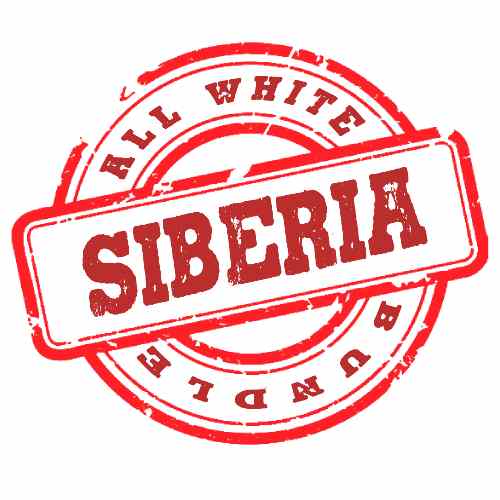 Siberia All White